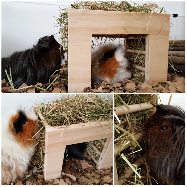 Hay Rack Hay Feeder Guinea Pig Rabbit Small Animal Hay Etsy