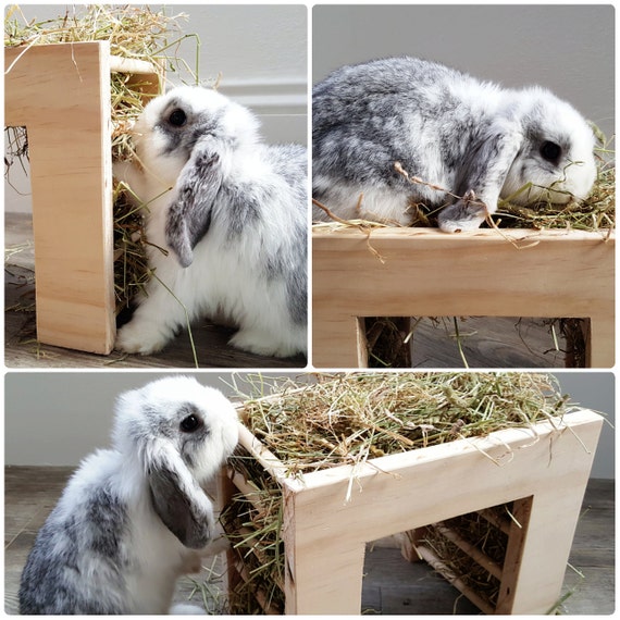 Hay Rack Hay Feeder Guinea Pig Rabbit Small Animal Hay Etsy