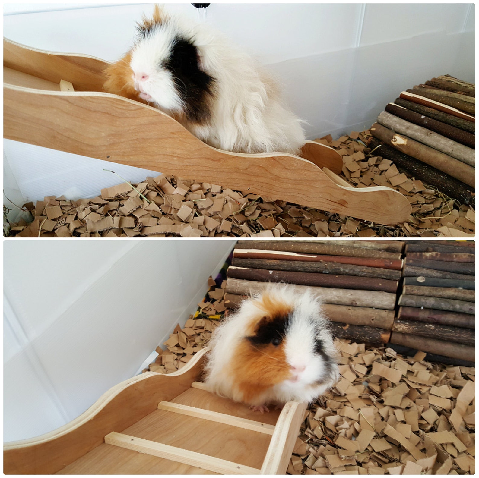 Guinea pig ramp Rabbit ramp Guinea pig ladder Rabbit Etsy