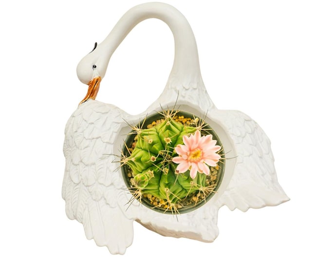 Mid Century Ceramic Swan Planter: Made in Italy, Animal Decor