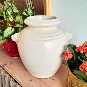 May include: A cream-coloured ceramic vase with a wide, rounded body and a flared rim. The vase has two small handles and sits on a wooden surface. The background includes green plants and orange flowers.