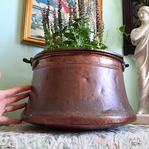 May include: A large, round, hammered copper pot with a wide rim and dark metal side handles. The exterior surface features visible dents, a faint engraved wavy line pattern, and etched text near the top rim. Green plants grow from the interior.