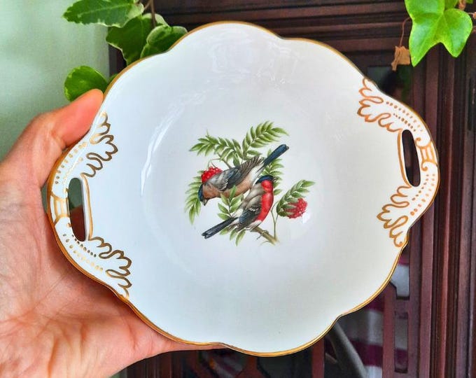 Vintage Coalport Bone China Decorative Handled Dish British Birds Series The Bullfinch