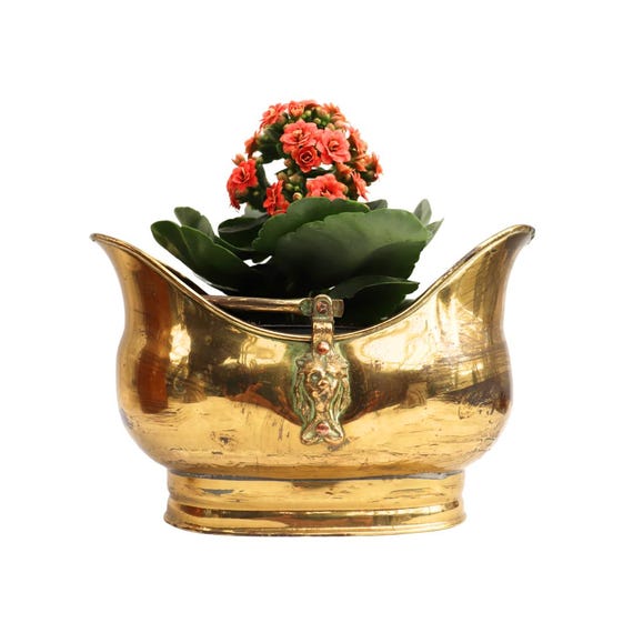 Small Old Brass Planter With Lions Head Brass, Jardiniere With Handle Victorian Style