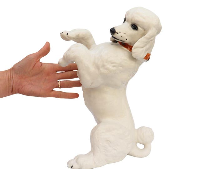 Large Mid Century British White Poodle Dog Standing 13.5 inches Tall