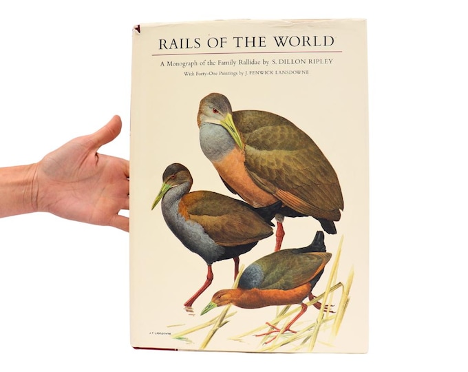 Mid Century Ornithology Book: Rails of the World, 1977