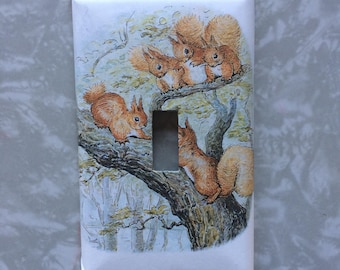 Tale Of Squirrel Nutkin Beatrix Potter Nursery Kids Room Decorative Light Switch Cover
