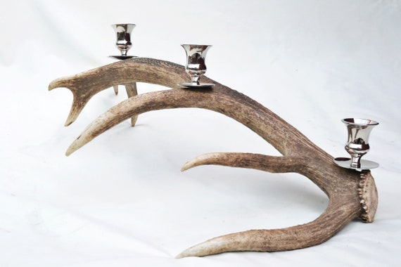 Fantastisches Natürliches Hirschhorn Geweih & Verchromter Kerzenhalter 3 Kerzenhalter Hirsch Herzstück Wohnkultur
