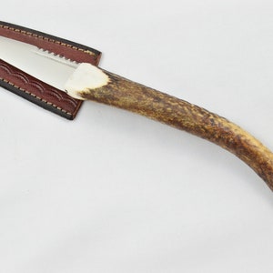 A Fantastic Genuine Stainless Steel Stag Horn Full Tyne Antler Handle Sgian Dubh Sheffield England **Free Engraving** 2024 Edition