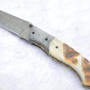 Fantastic Buffalo with Coloured Camel Bone Damascus Steel Sheffield Made Pen/Pocket Knife