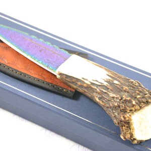 New Genuine Heat Treated Damascus Steel Bespoke Stag Horn Antler Handle Sheffield Sgian Dubh with Leather Sheath Boxed