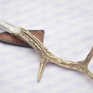 New Genuine Stainless Steel Full Roe Deer Stag Handle Sheffield Sgian Dubh with Leather Sheath