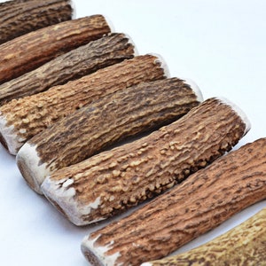 Premium Scottish Stag Horn Antler Dog Chew Naturally Shed Sustainable Dog Toy Deer Antler - SMALL