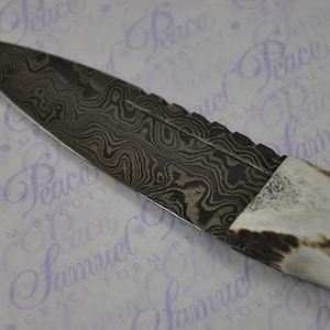 New Fantastic Genuine Stag Horn Handle Sgian Dubh Damascus Steel Made in Sheffield England image 4