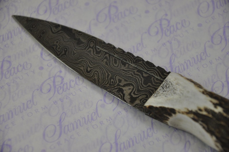 New Fantastic Genuine Stag Horn Handle Sgian Dubh Damascus Steel Made in Sheffield England image 4