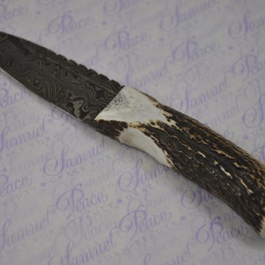 New Fantastic Genuine Stag Horn Handle Sgian Dubh Damascus Steel Made in Sheffield England image 2