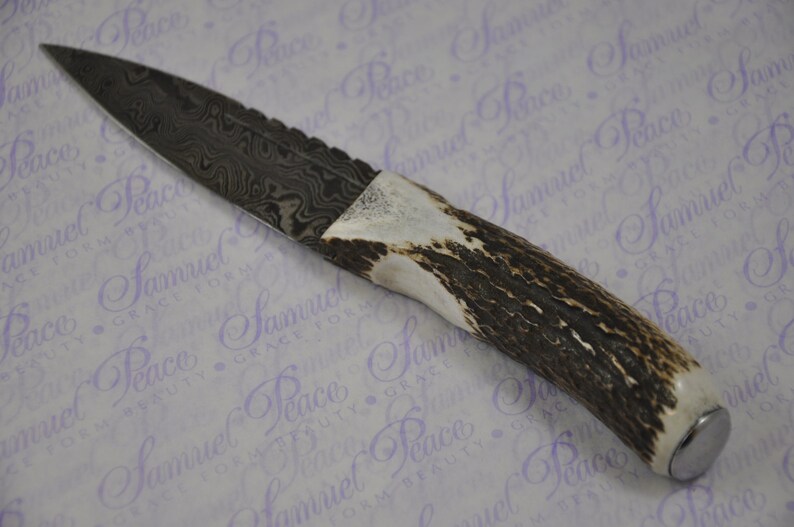 New Fantastic Genuine Stag Horn Handle Sgian Dubh Damascus Steel Made in Sheffield England image 2