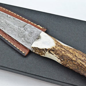 A Fantastic Genuine Stag Horn Handle Modern Bladed Damascus Steel Sgian Dubh Made in Sheffield England 2024 Edition