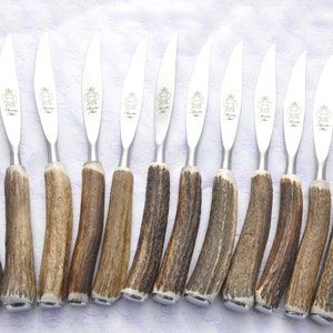 12  Twelve Genuine Stag/Antler/Horn Handle Steak Knives Futuristic Pattern in a Presentation Case Made In Sheffield England