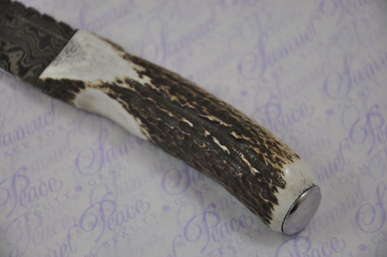 New Fantastic Genuine Stag Horn Handle Sgian Dubh Damascus Steel Made in Sheffield England image 3