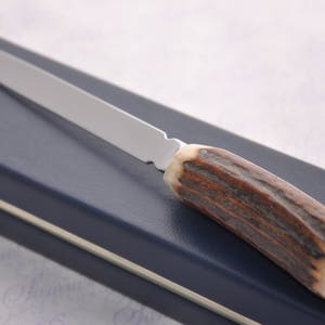 Genuine Stag Handled Letter Opener 1920 Mounted Threepence Silver Coin Gift Boxed Sheffield England
