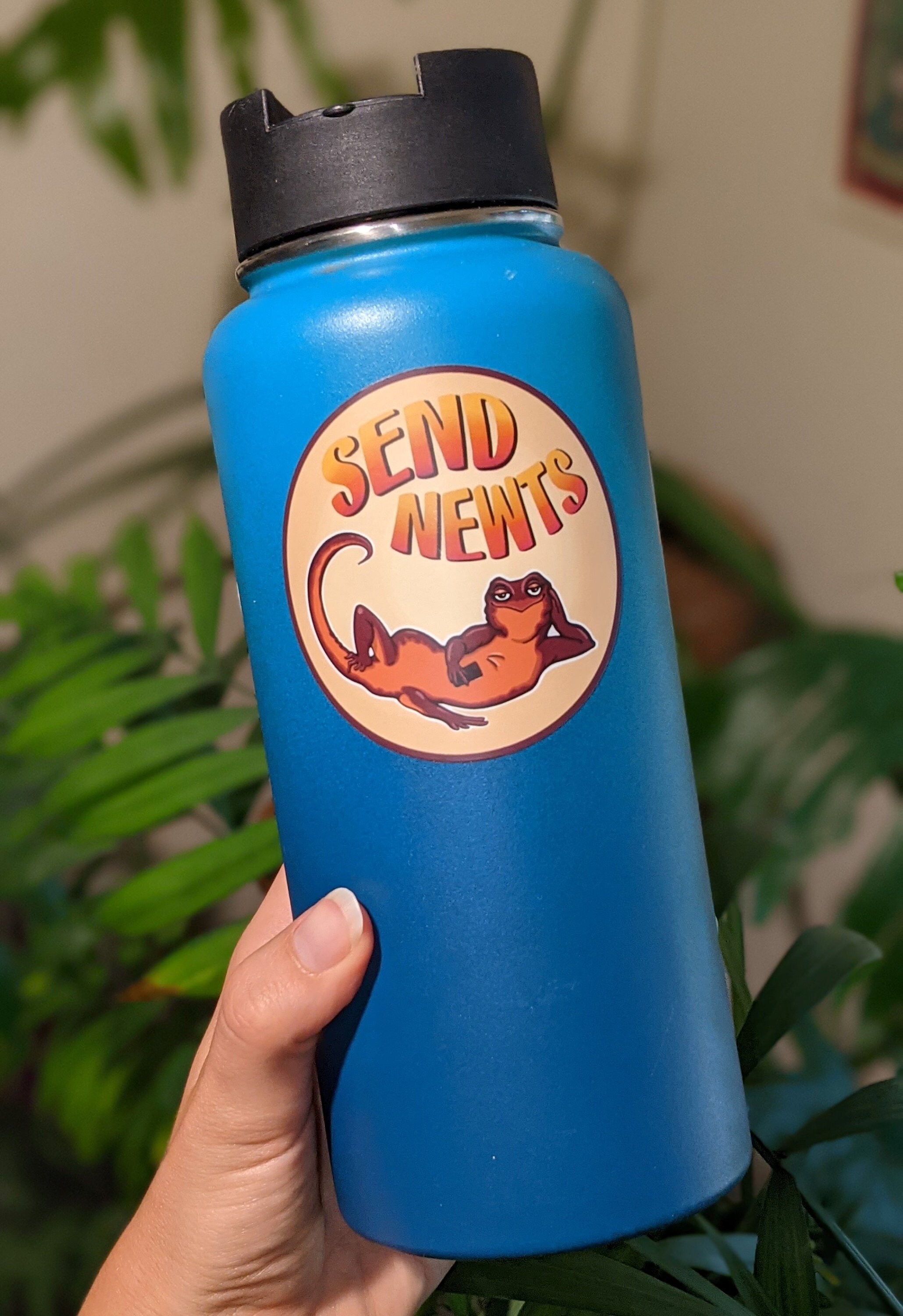Send Newts Sticker Send Newts Vinyl Sticker 3 Circle Laptop or Waterbottle Sticker Send ...
