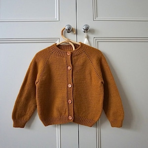 Baby boy sale burnt orange sweater