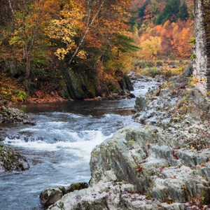 May include: A rocky river flows through a forest with vibrant autumn foliage. The river is surrounded by large, grey rocks and the trees are a mix of orange, yellow, and red.
