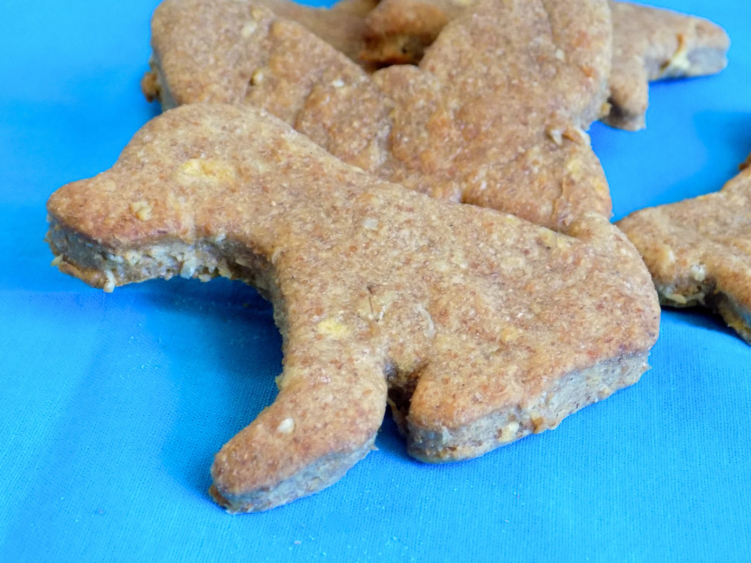 Ramsey's Applelicious Peanut Butter Dog Biscuits, Large Etsy