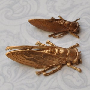 Vintage French 3D Cicada Insect Victorian Style Jewelry Finding Raw Brass 2 Sizes 1 Pieces 120J 577J