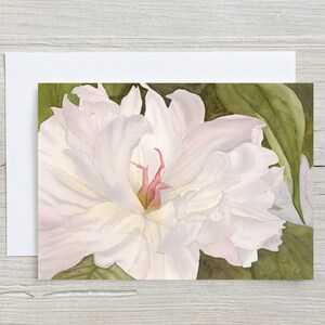 Carte pivoine - pivoine blanche - floral - carte aquarelle - jardin - fleur d'été - amateur de fleurs - fleur blanche - vie à la campagne - carte vierge 5 x 7