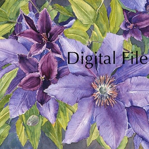 Stampa digitale Purple Clematis - acquerello - download digitale - fiori - arredamento - arte murale - grande floreale - arte floreale