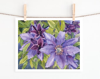 Purple Clematis print - flowers - floral - garden - summer - watercolour - giclee print - watercolour print - purple - clematis