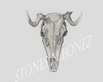 Wall Art, Southwest Art, Anatomical Goat Skull, Minimalist Drawing