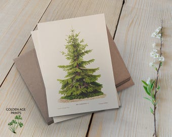 Christmas Cards (set of 6), Christmas Tree Cards, Christmas Illustration, Vintage Christmas Cards, Holiday Cards