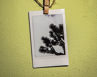 Desert Black and White Print