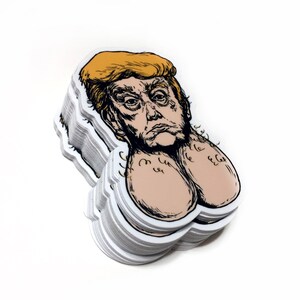 Donald the Dicktator: Vinyl Anti-Trump Sticker image 2