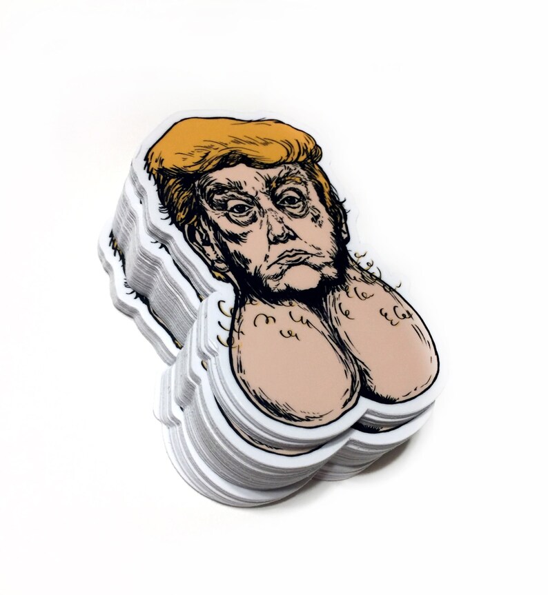 Donald the Dicktator: Vinyl Anti-Trump Sticker image 2