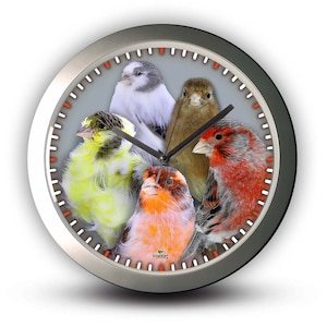 Canary silver Wall Clock with modern and unique design.