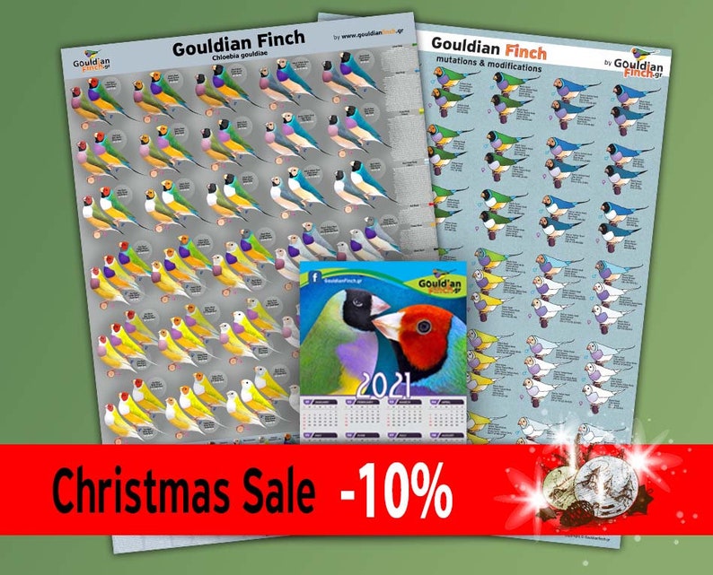 NEW Gouldian Finch Mutation Poster our very FIRST version ...