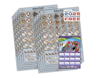 Poster Mutation du diamant mandarin, calendrier 2026 (lot de 10)