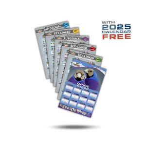 ¡SET de 5 nuevos carteles sobre la genética del pinzón de Gould + Calendario del pinzón de Gould 2025 GRATIS!