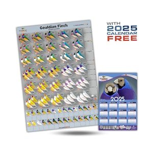 ¡NUEVO póster de la mutación del diamante de Gould + Calendario del diamante de Gould 2025 de 32 x 48 cm GRATIS!