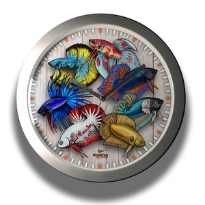 Könnte beinhalten: Eine silberne Wanduhr mit weißem Zifferblatt und Holzmaserung. Die Uhr zeigt ein Design aus sieben bunten Betta-Fischen, jeder mit einem einzigartigen Muster und einer einzigartigen Farbe. Das Zifferblatt der Uhr hat schwarze Zahlen und Zeiger, und die Worte "Gould's Finches" sind unten in Schwarz gedruckt.