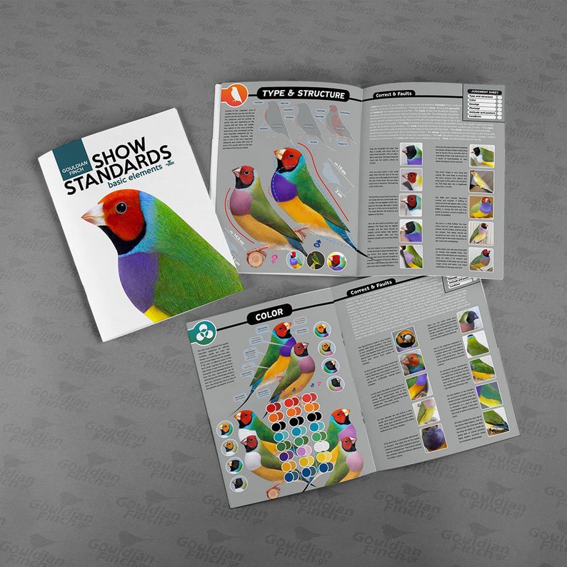 NEW Gouldian Finch SHOW STANDARDS  basic elements / Booklet image 1