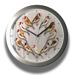 Major Goldfinch mutations silver Wall Clock with modern design.