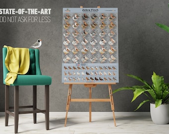 NEW Zebra Finch Mutation Poster + Zebra Finch Calendar 2024, 32*48cm for FREE!!!