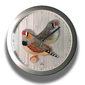 Zebrafink Mutationen Silber Wanduhr mit modernem Design.