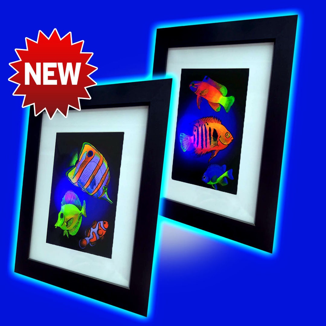 Fluorescent Frames With Marine Fish Reef Digital Paintings Prints ...