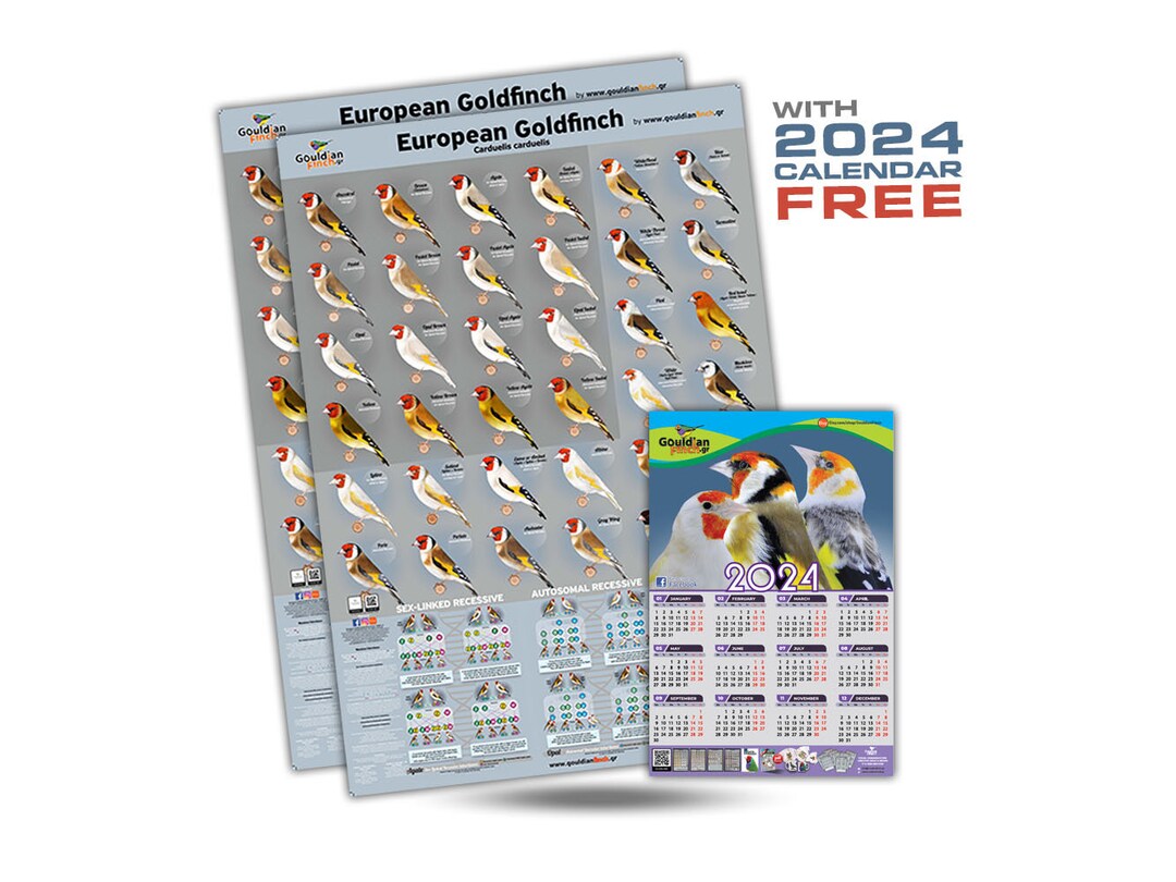 SET van 2 NIEUWE Europese Putter Mutatie Posters 2024 Putter Kalender